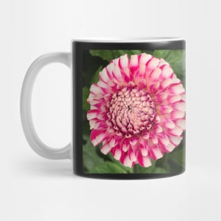 Dahlia my Dahlia Mug